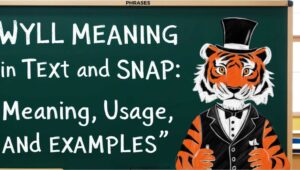 WYLL Meaning in Text and Snap: Meaning, Usage, and Examples - Fact Nest